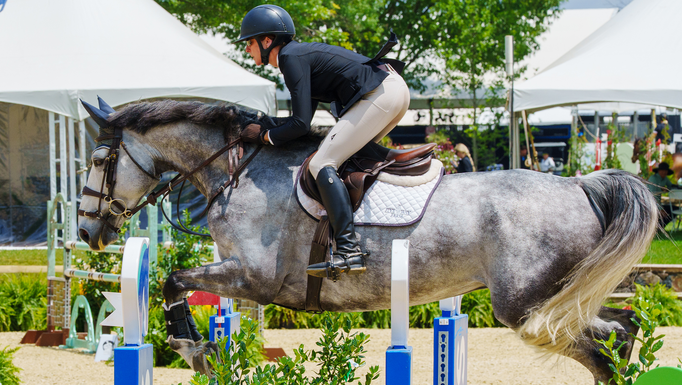 Tryon Summer 2